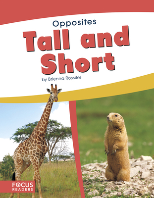 Tall and Short 1641853514 Book Cover