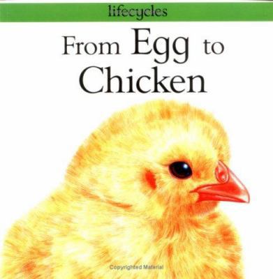 From Egg to Chicken 0531153339 Book Cover