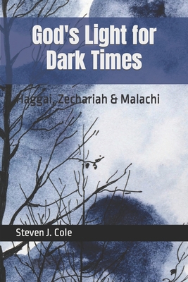 God's Light for Dark Times: Haggai, Zechariah &... 1690843551 Book Cover