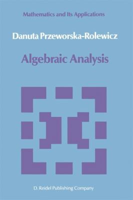 Algebraic Analysis 940107139X Book Cover