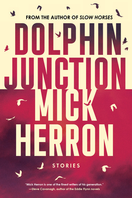 Dolphin Junction: Stories 1641294035 Book Cover