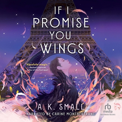 If I Promise You Wings B0DHYFVFXY Book Cover