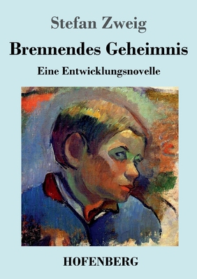 Brennendes Geheimnis: Eine Entwicklungsnovelle [German] 3743744449 Book Cover