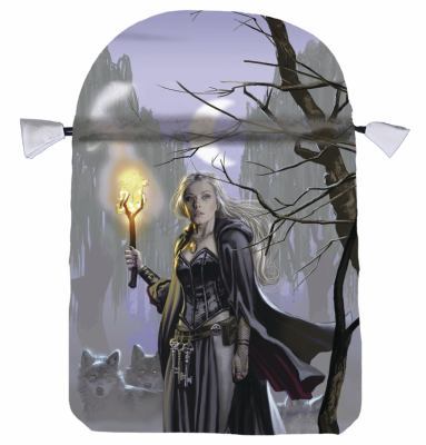 Witches Tarot Bag 0738735701 Book Cover