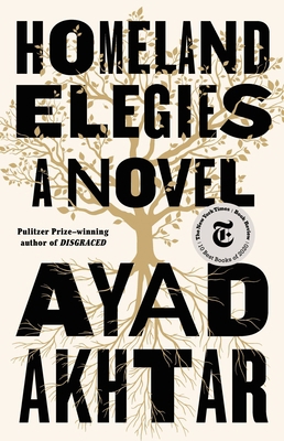 Homeland Elegies 0316496421 Book Cover