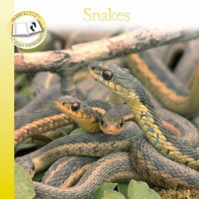 Snakes 1603430105 Book Cover