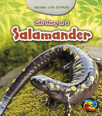 Life Story of a Salamander 1484604903 Book Cover