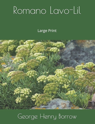 Romano Lavo-Lil: Large Print 169639595X Book Cover