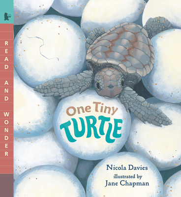 One Tiny Turtle: Read and Wonder 1536235377 Book Cover