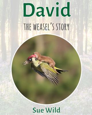 David: The weasel's story 1541040015 Book Cover