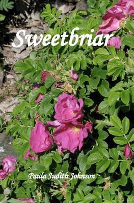 Sweetbriar 0615393780 Book Cover