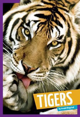 Tigers 1607536056 Book Cover