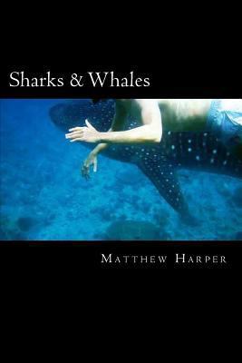 Sharks & Whales: A Fascinating Book Containing ... 1496112067 Book Cover