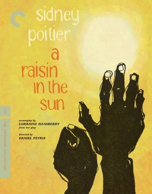 A Raisin in the Sun 1681435012 Book Cover