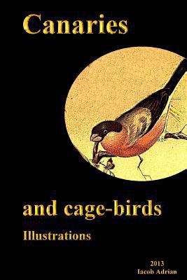 Canaries and cage-birds Illustrations 1495323196 Book Cover