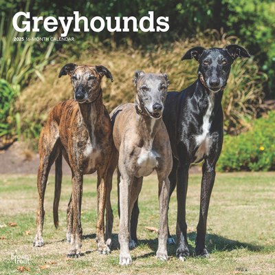 Greyhounds 2025 12 X 24 Inch Monthly Square Wal... 197547712X Book Cover