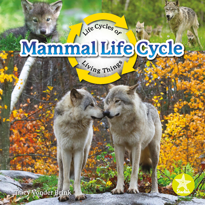 Mammal Life Cycle 1638974551 Book Cover