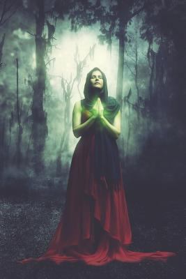 Witch in the Forest Calligraphy Paper: For Eleg... 1798163799 Book Cover