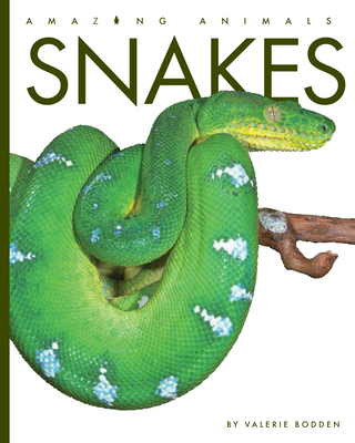 Snakes 1640262091 Book Cover
