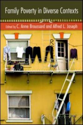 Family Poverty in Diverse Contexts 0789037416 Book Cover