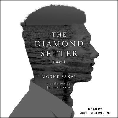 The Diamond Setter B08ZB919XM Book Cover