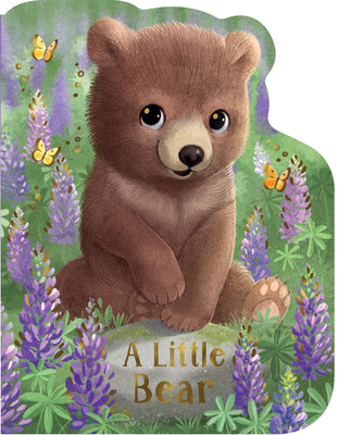 A Little Bear B0FTM49Z16 Book Cover