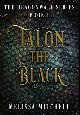 Talon the Black: A Slow Burn Fantasy Series B0D214S22R Book Cover