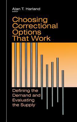 Choosing Correctional Options That Work: Defini... 0803959303 Book Cover