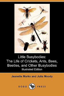Little Busybodies: The Life of Crickets, Ants, ... 1409966658 Book Cover