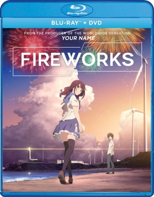 Fireworks Book Cover