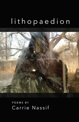 lithopaedion B0BY1NHW7H Book Cover
