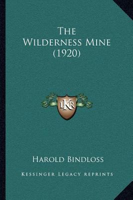 The Wilderness Mine (1920) 1164034049 Book Cover