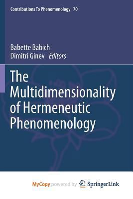 The Multidimensionality of Hermeneutic Phenomenology 3319017063 Book Cover