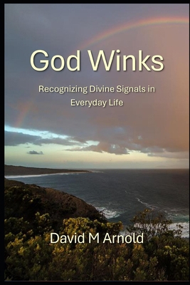 God Winks: Recognizing Divine Signals in Everyd... B0DS65M18W Book Cover