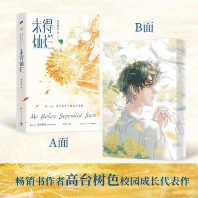 Not Yet Splendid [Chinese] 7553527742 Book Cover