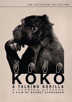 Koko: A Talking Gorilla B000FILVNW Book Cover