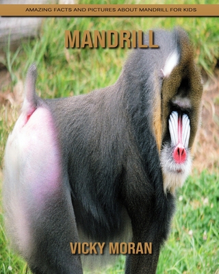 Paperback Mandrill: Amazing Facts and Pictures about Mandrill for Kids [Large Print] Book