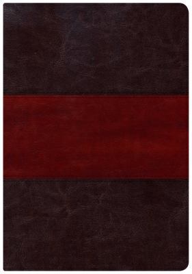 Holman Study Bible-NKJV-Large Print [Large Print] 1433607514 Book Cover