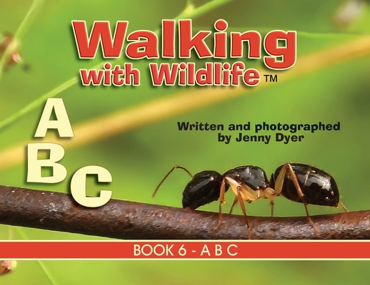 Walking with Wildlife - Book 6: A B C 1763793982 Book Cover