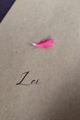 Lei [Italian] B0G13B44MM Book Cover
