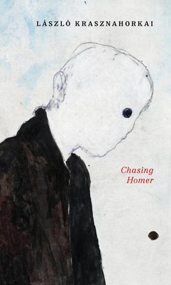 Chasing Homer 0811240908 Book Cover
