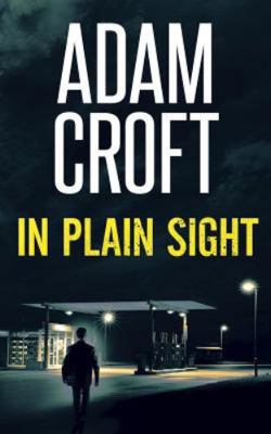 In Plain Sight 191259966X Book Cover