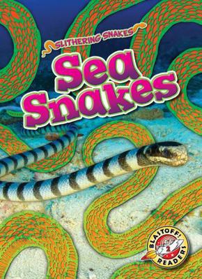 Sea Snakes B0DWYYYZFM Book Cover