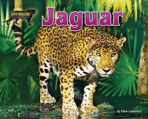 Jaguar 1642807524 Book Cover