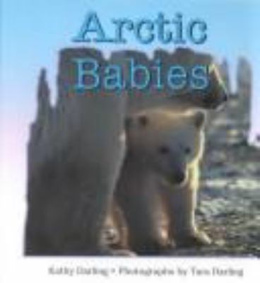 Arctic Babies 0802784143 Book Cover