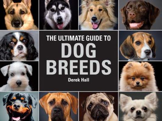 The Ultimate Guide to Dog Breeds: A Useful Mean... 0785834419 Book Cover