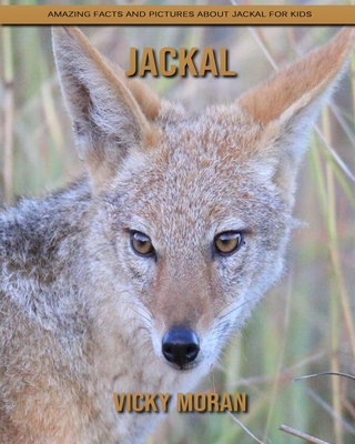 Paperback Jackal: Amazing Facts and Pictures about Jackal for Kids [Large Print] Book