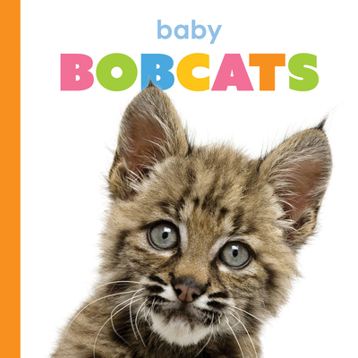 Baby Bobcats 1682778312 Book Cover