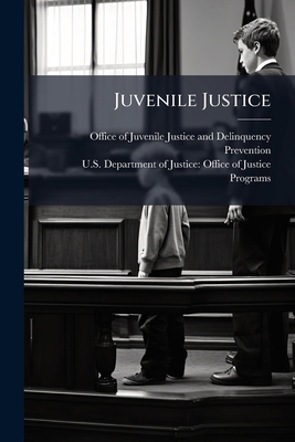 Juvenile Justice 1025117301 Book Cover