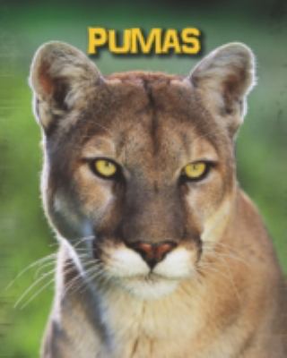 Pumas (Infosearch: Living in the Wild: Big Cats) 1406273538 Book Cover